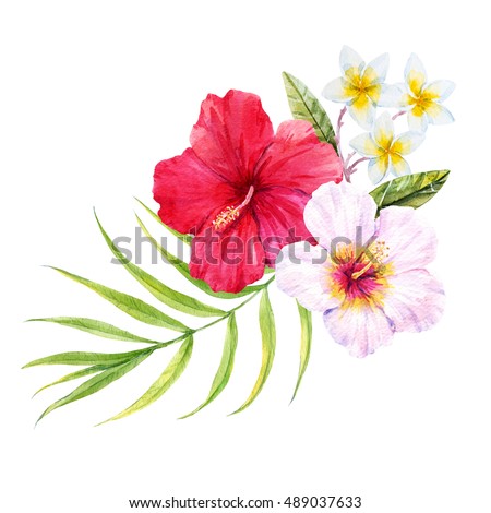 watercolor illustration of hibiscus, palm leaves, white plumeria, tropical bouquet on a white background