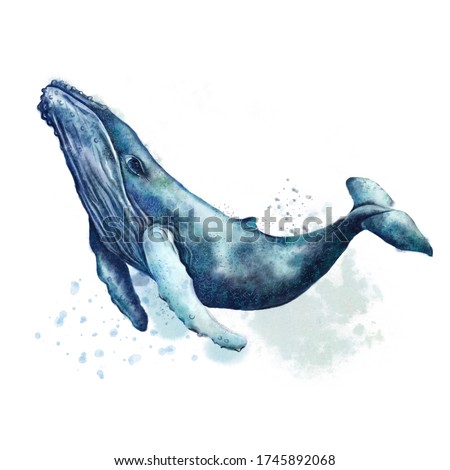Watercolor illustration, humpback, blue whale. Indigo color. Isolated on white background. Cute underwater animal art. Design for art print, decor, card, nature and ocean theme, cover, poster, product
