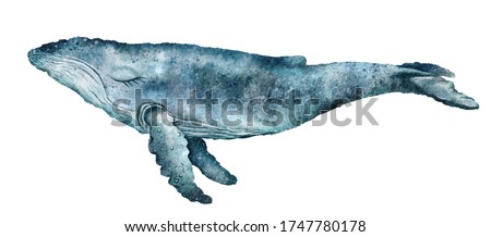 Watercolor illustration, humpback, blue whale, closed eyes. Isolated on white background. Cute underwater animal art. Design for art print, decor, card, nature and ocean theme, cover, poster, product