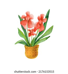 Watercolor Illustration Of An Indoor Plant In A Flower Pot. House Plants And Garden Flowers In Pots. Decorative Garden Flowers For Office And Home Decor, Potted Flower, Isolated On White Background.