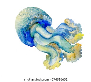 Watercolor Illustration Of Jellyfish