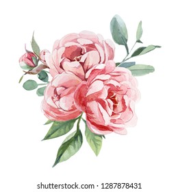 Watercolor Bouquets Hand Draw Elegant Flowers Stock Illustration 1689227740