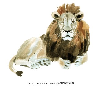 Watercolor Illustration Of A Lion