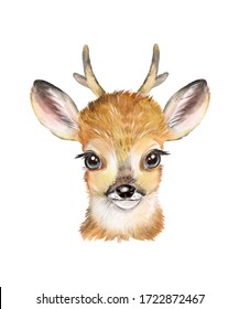 347 Big cartoon deer eye Images, Stock Photos & Vectors | Shutterstock