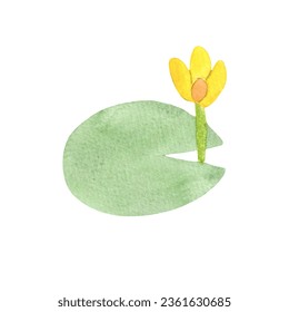 Watercolor illustration marsh plant