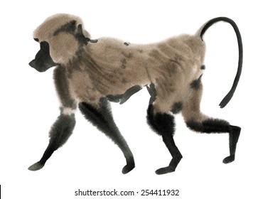 Watercolor illustration of a monkey marmoset