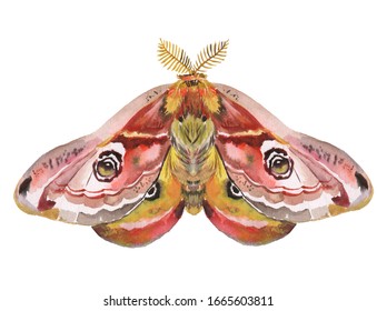 Watercolor Illustration Of A Moth. Butterfly, Summer, Night Butterfly