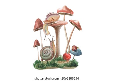 Watercolor illustration of mushrooms and snails with berry and ladybag