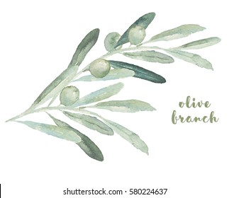 Watercolor illustration with olives