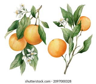 1,386,212 Drawing Orange Images, Stock Photos & Vectors | Shutterstock