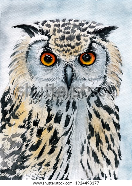 Watercolor\
illustration of an owl with spotted contrasting white and black\
feathers and bright amber yellow\
eyes