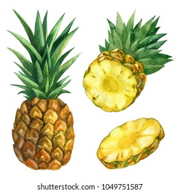 Watercolor illustration. Pineapple, sliced pineapple, half and a piece of pineapple.