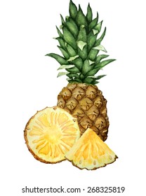 Watercolor Illustration Of  Pineapple With Slices. Isolated On White