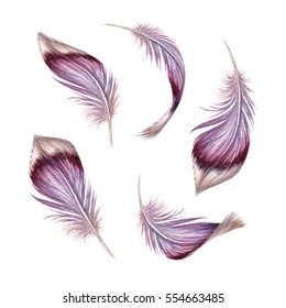 Watercolor Illustration, Pink Feather Clip Art, Easter Design Elements Set, Isolated On White Background