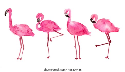 watercolor illustration pink flamingos. hand painted isolated elements.