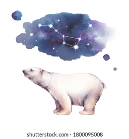 
Watercolor Illustration With Polar Bear Standing Under The Stars. It's Perfect For Winter Design