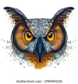 Watercolor Illustration Of A Portrait Of An Owl Head, In The Style Of Realism, Many Details, Big Yellow Eyes, Large Bird Of Prey, For Print Or Design