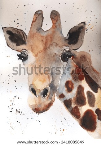 Watercolor illustration portrait of spotted brown giraffe.Safari, artiodactyl mammal.Giraffe animal hand drawn watercolor on white background with paint drops.Cute zoo, africa animal painting clipart