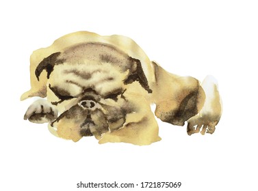 犬 寝顔 のイラスト素材 画像 ベクター画像 Shutterstock