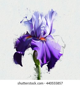 Watercolor Illustration Purple Iris Closeup On Stock Illustration ...