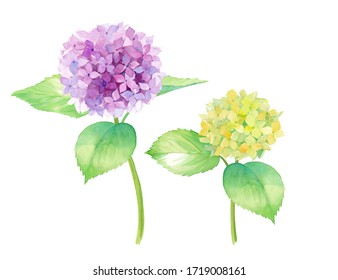 紫陽花 イラスト 和 Images Stock Photos Vectors Shutterstock