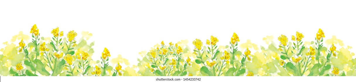 菜の花 イラスト Images Stock Photos Vectors Shutterstock