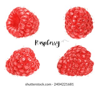 Watercolor illustration of raspberry close up. Design template for packaging, menu, postcards. - Powered by Shutterstock