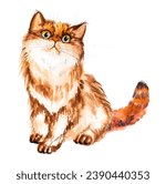 Watercolor illustration of a red fluffy crazy cat, hand drawn cat.