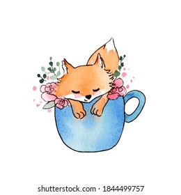 watercolor illustration.  The red fox sits in a blue cup with flowers.  for printing, for cute cards and invitations - Powered by Shutterstock