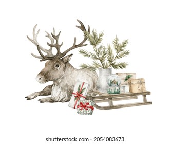 Watercolor illustration with reindeer, Christmas pine branch, sleigh. Winter aesthetic, wild animal, present boxes, snowball. Holiday decoration and cute forest wild animal.