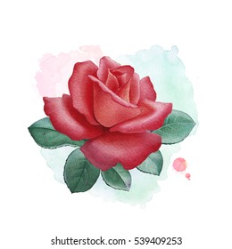 Watercolor Pattern Rose Illustration Stock Illustration 171151040