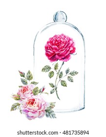 Watercolor Illustration Of A Rose In A Glass Case, Wedding Invitation, Pink Rose, Dome Cover 