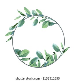 Eucalyptus Leaves Circle Images, Stock Photos & Vectors | Shutterstock