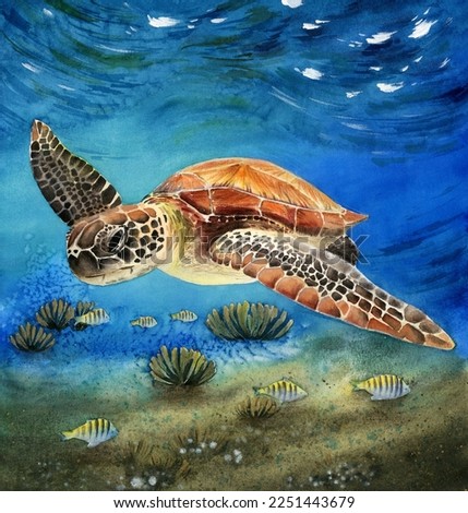 Watercolor illustration of a sea turtle swimming in the blue sea water at the bottom of the ocean with colorful fish and sea corals