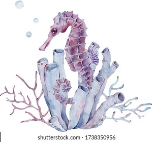 Watercolor illustration of seahorse by the tube sponge and seaweed. Sea life. Hand-drawn natural art. Ocean and vacation concept