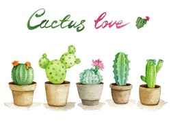 Cactus De Ilustración De Color De Agua En Macetas De Flores