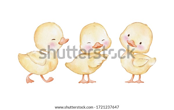 1,309 Set Duck Watercolor Images, Stock Photos & Vectors | Shutterstock