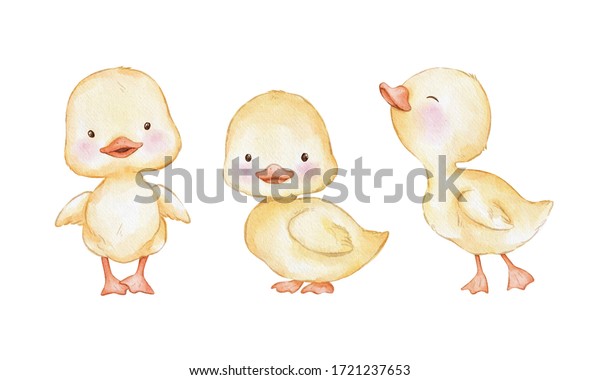 Watercolor Illustration Set Cute Yellow Ducklings Stock Illustration 