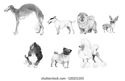 Watercolor illustration set of dogs isolated on white background