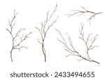 Watercolor illustration set of fall tree branch without leaves. Brown dry straight twig. Isolated on a white background. For rustic print design or eco friendly packaging. Minimalist style