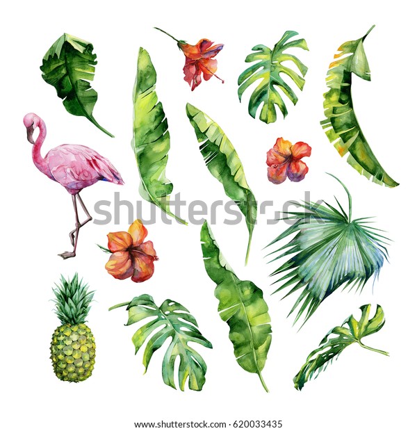 熱帯の葉 密生したジャングル フラミンゴの鳥 パイナップルの水彩イラストセット 夏向きの夏のモチーフ は 背景テクスチャー 包み紙 織物 壁紙デザインとして使用できます のイラスト素材