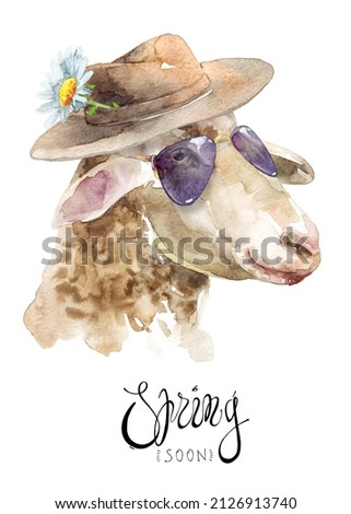 Watercolor illustration of sheep portrait with eyeglasses, hat and chamomile flower on the hat. Greeting card design with text area and calligraphy lettering 