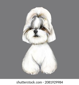 144 Shih Tzu Watercolor Images, Stock Photos & Vectors | Shutterstock