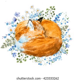 watercolor illustration of a sleeping fox, red fox on the background colors, delicate print, white background