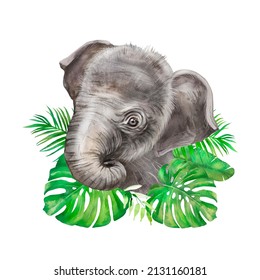 Watercolor illustration small elephant  African animal  wild animal  naturalistic image an elephant  elephant and leaves  zoo animal