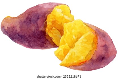 Watercolor illustration of split in half sweet potatoes isolated on white background. Steamed sweet potatoes. - Powered by Shutterstock