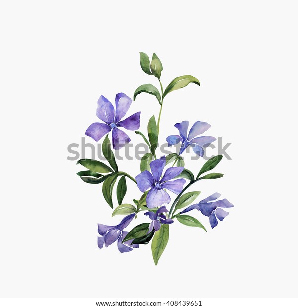 水彩 春の野に咲く青い花のイラスト のイラスト素材