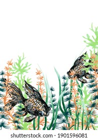 水草 金魚 のイラスト素材 画像 ベクター画像 Shutterstock