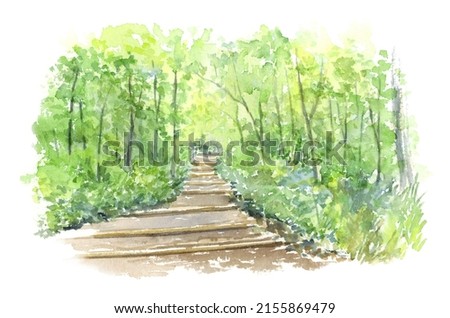 Watercolor illustration of stairs in the forest
