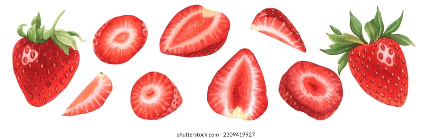 Watercolor illustration strawberries 